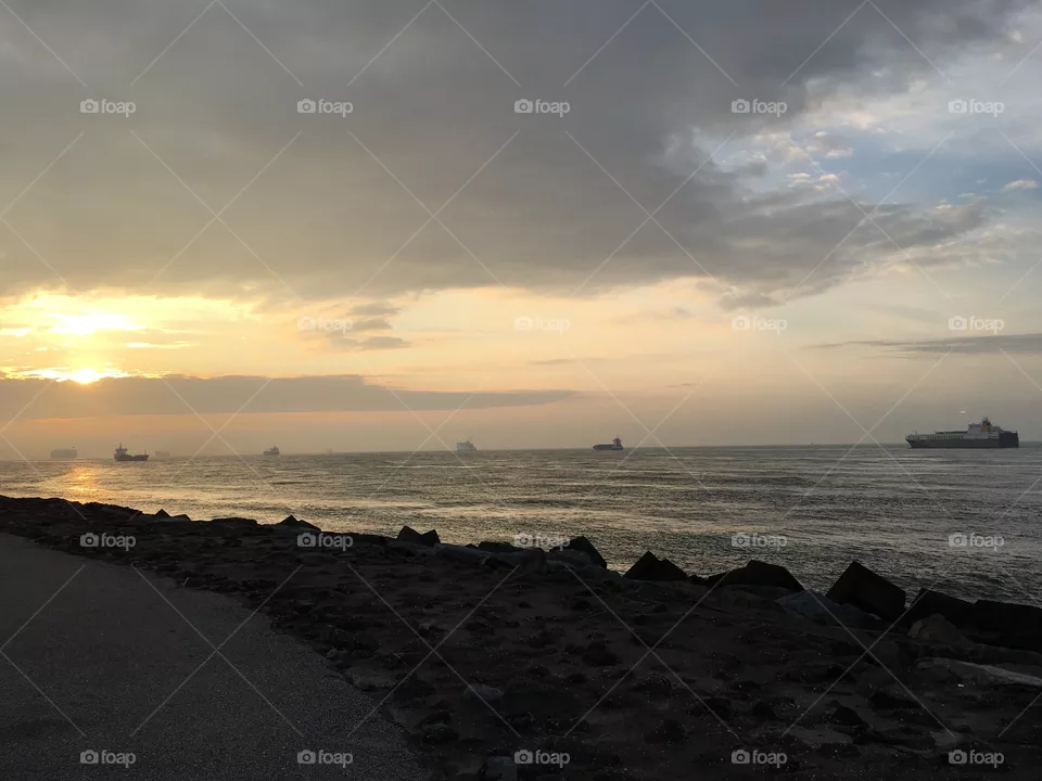 Shipping on the Maasvlakte