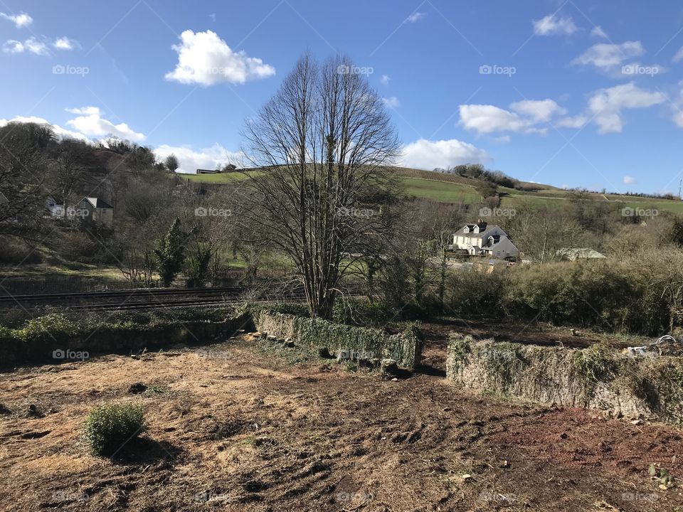 Kingskerswell countryside looking sparkling in spring sunshine today.