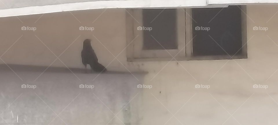 make your own path to feel good in doing the best things for others