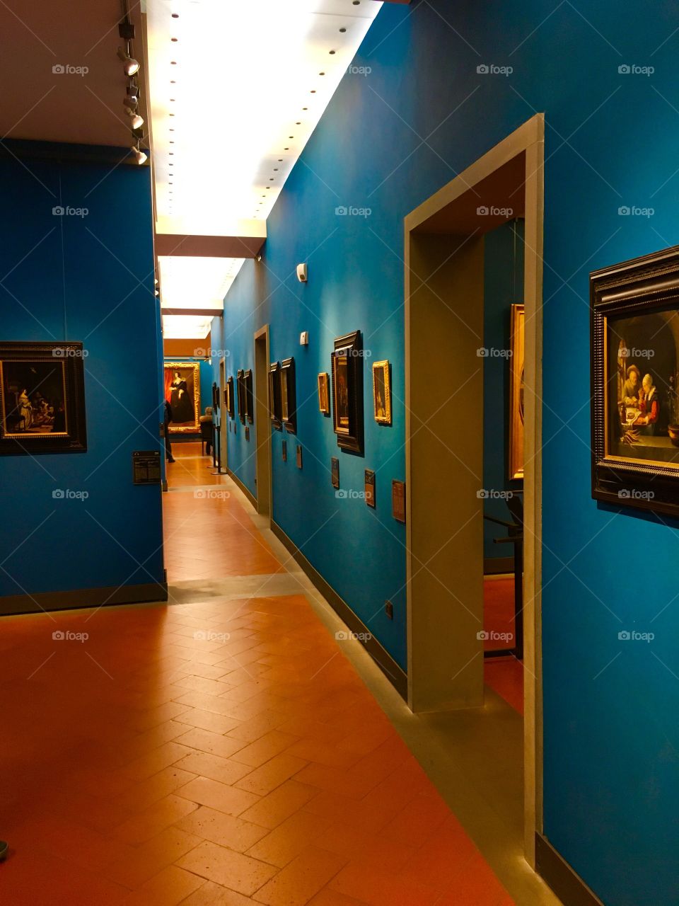 A stunning, blue-walled hall in a museum of classics.
