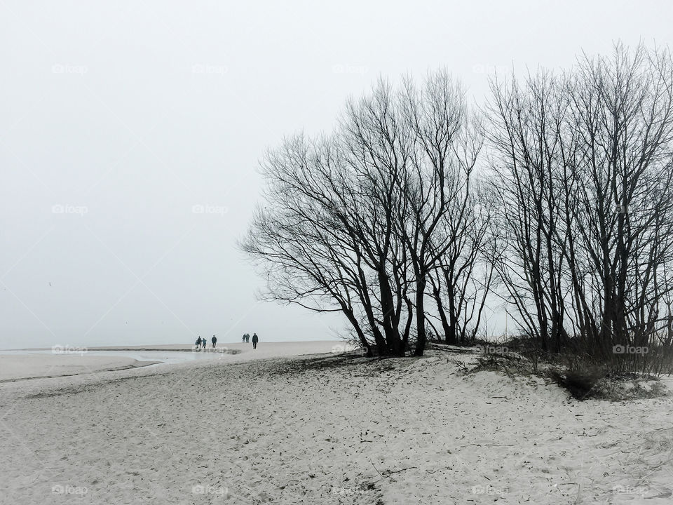 Moody beach