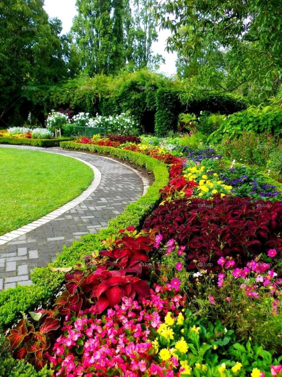 nature quality photos