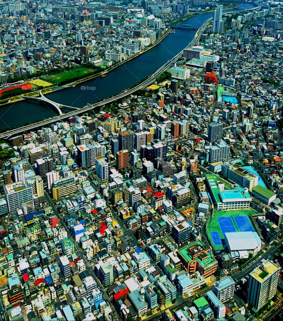 Tokyo from above