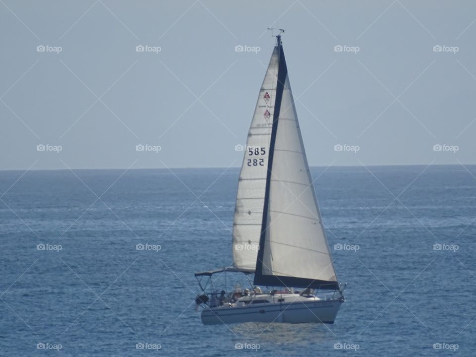A sail boat in the ocean.