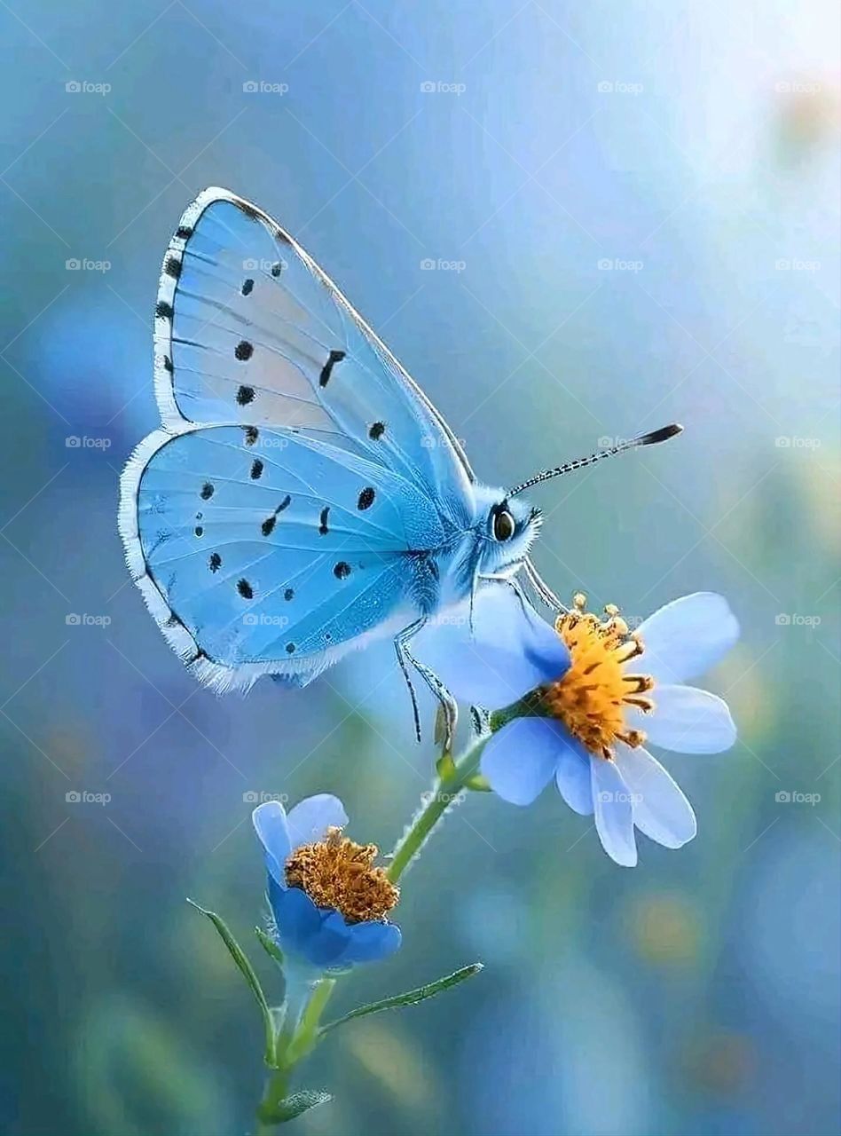 A very beautiful picture, and there is no better picture than it. There is no better picture of green herbs and colorful, red and white roses than it. Glory be to God, the natural and picturesque view, and there is no more wonderful picture than it.