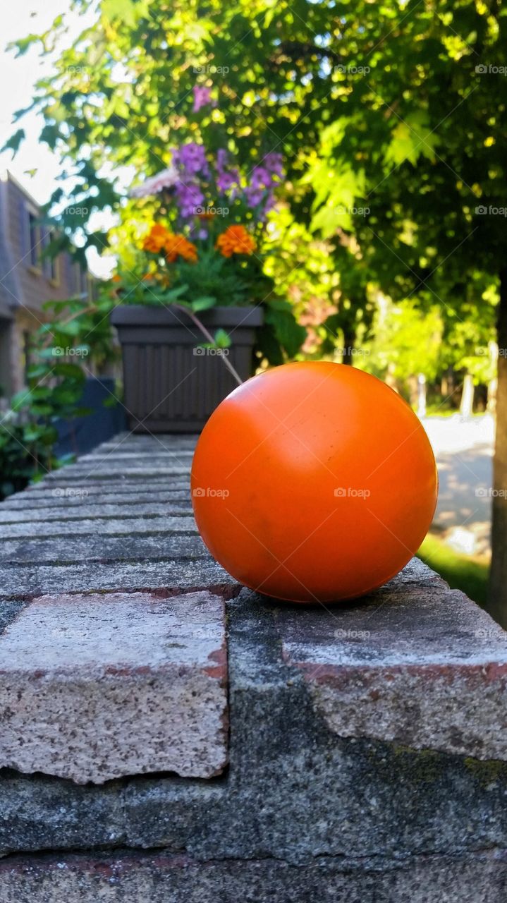 Orange ball on a Wall