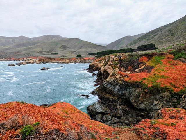 Red succulents cover the cliffs of Big Sur California