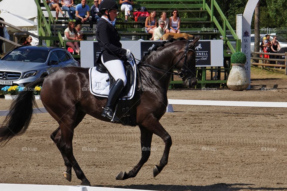 Dressage Falsterbo Horse Show