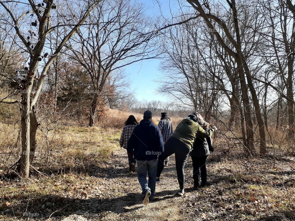 Family Woodland Walk