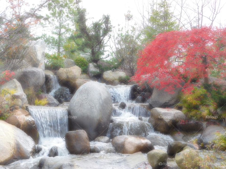 Japanese Garden Waterfall