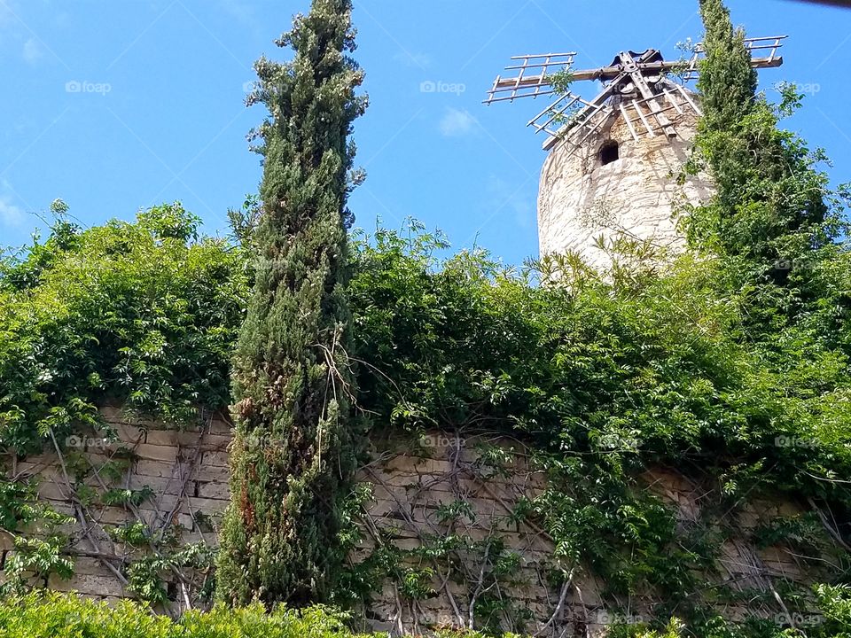 surprising old windmill in bustling city in Palma Mallorca