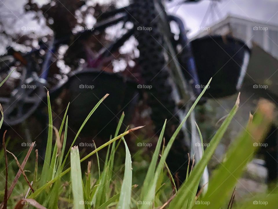 A Lonely Bicycle At Night Forgotten But Standing In The Midst Of Branches And Plants In The Grass.