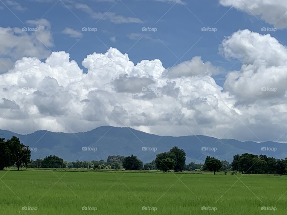 The stories of the nature, Countryside (Thailand)