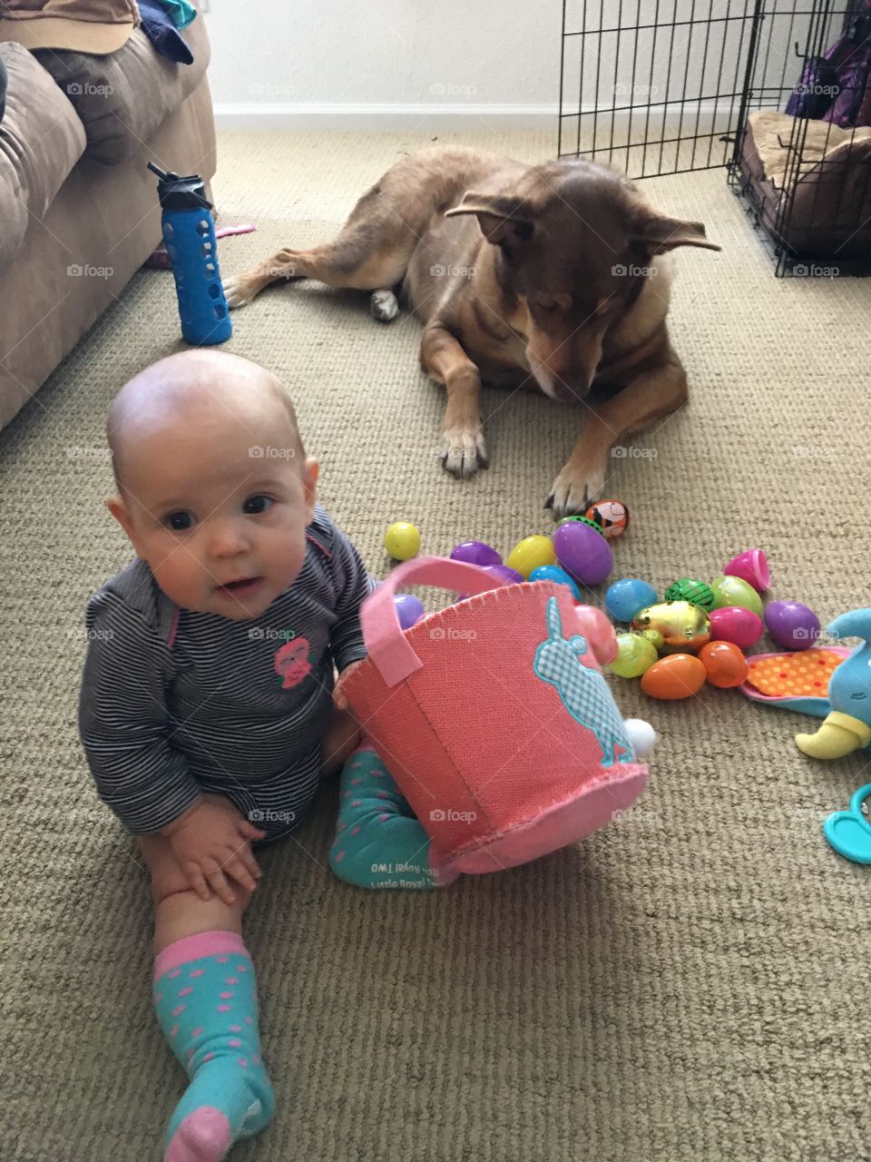 The basket and the baby II
