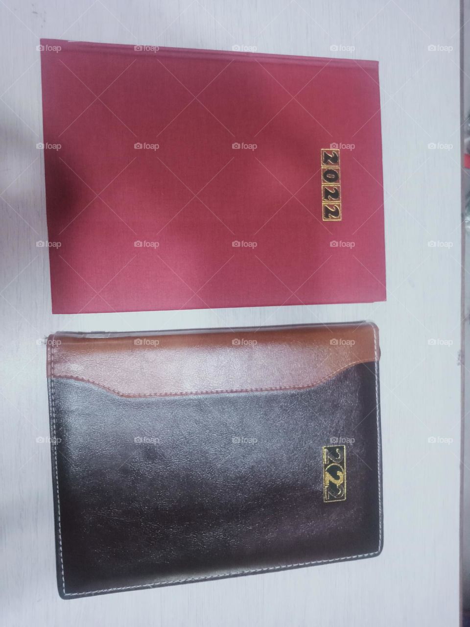 ravarma vanguvo  Brown & Red,  Memories of the past, Diarys