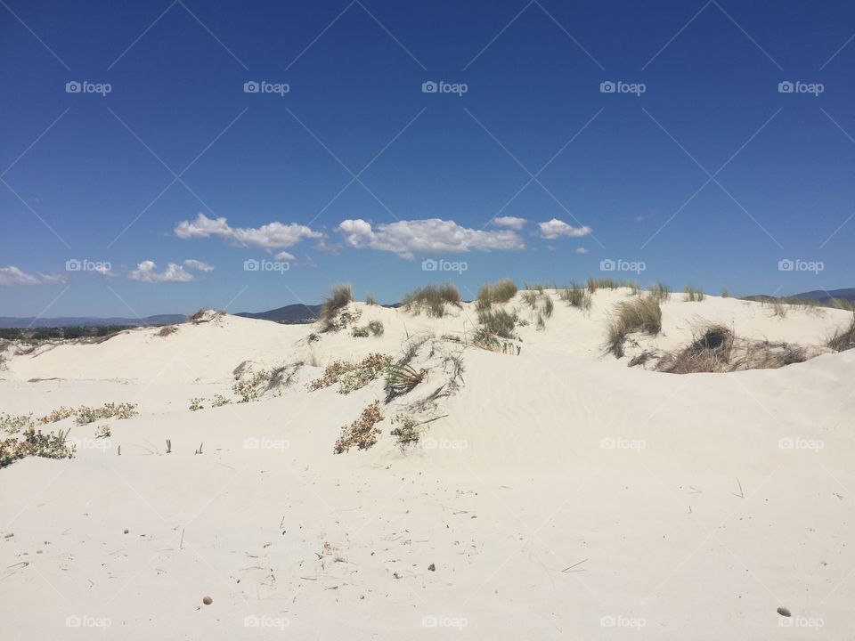 Sardegna , Italia , le dune
