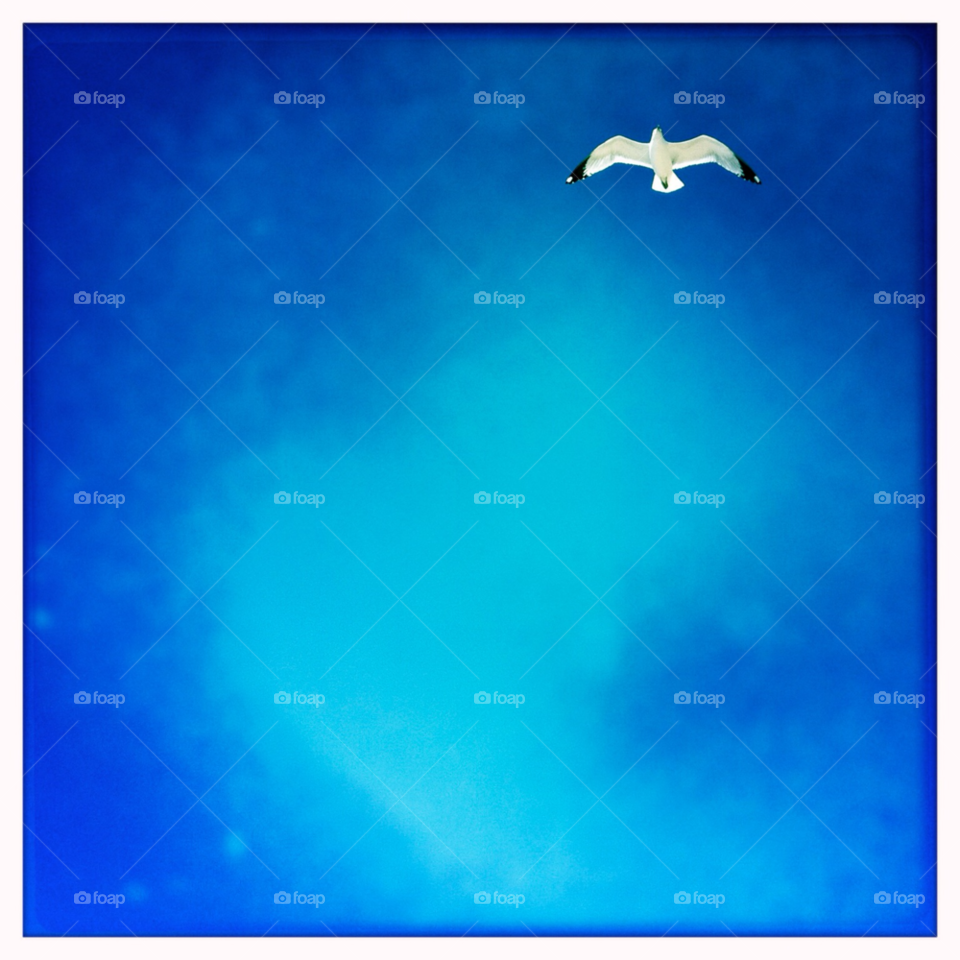 beach sky blue flying by cagedheat