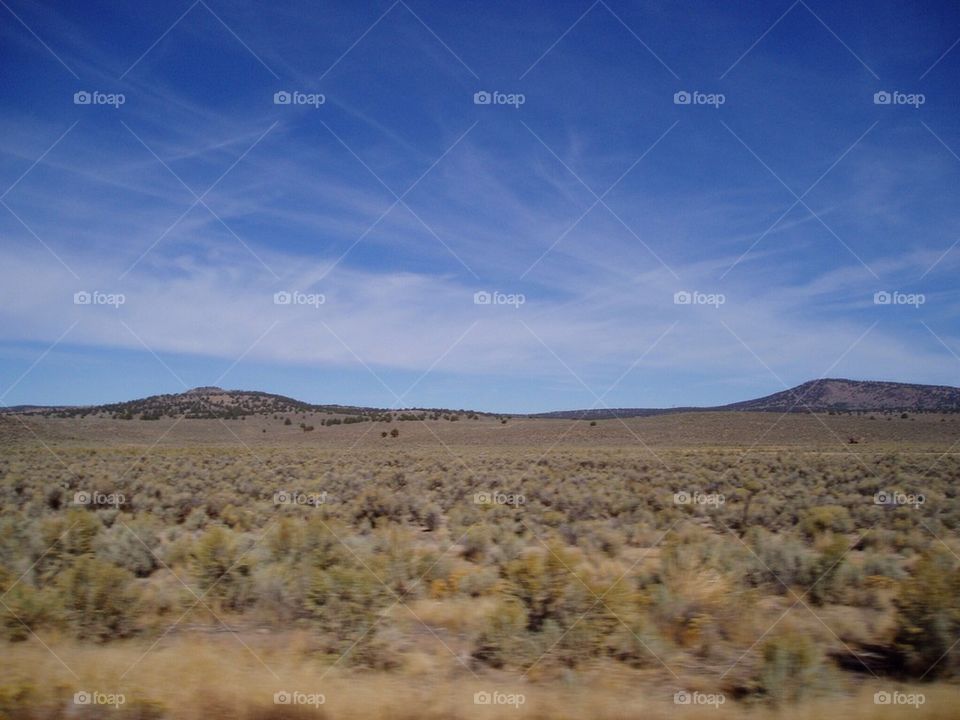 Oregon desert lands