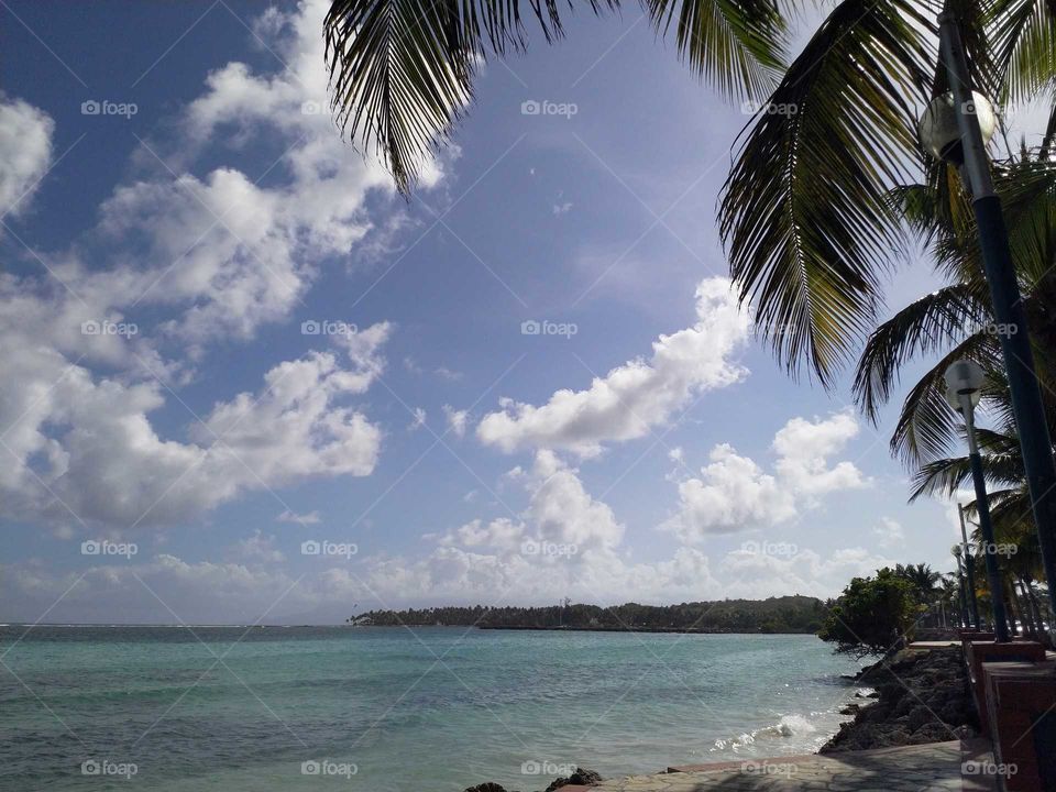 Island Guadeloupe