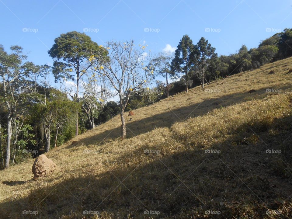 paisagem