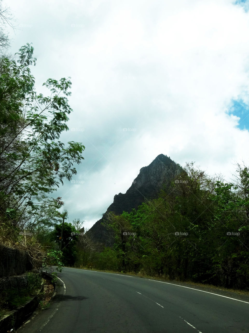 Piton . One of the Pitons seen while driving in St. Lucia