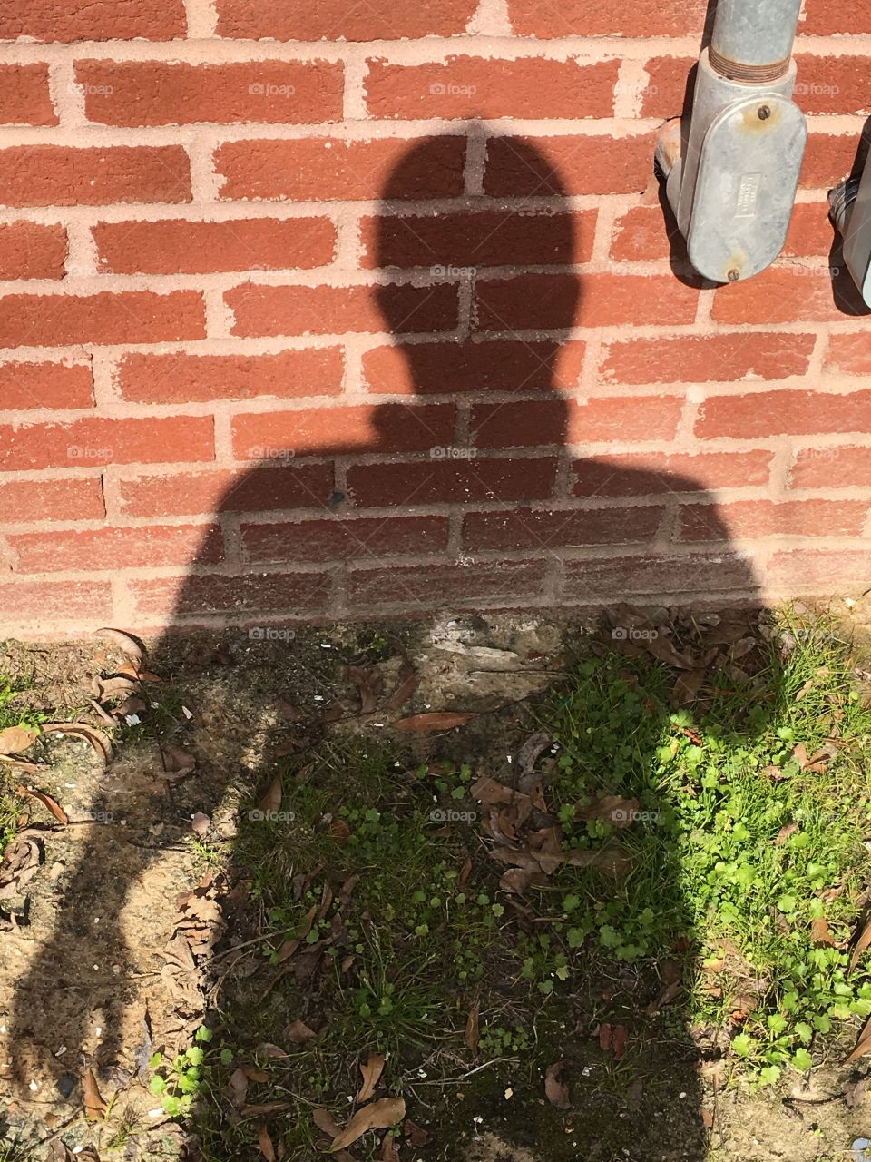 My shadow