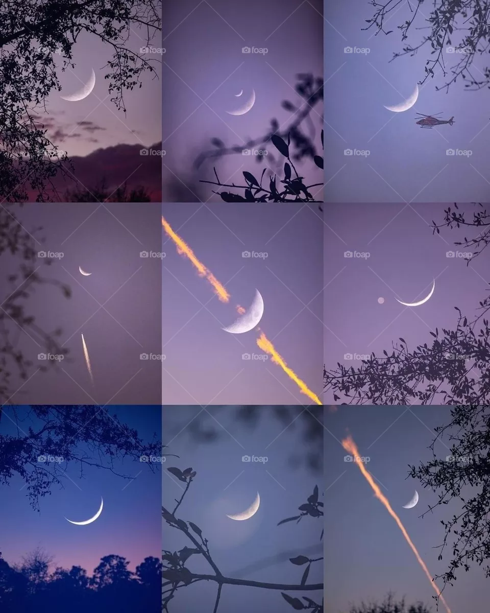 Moon💖