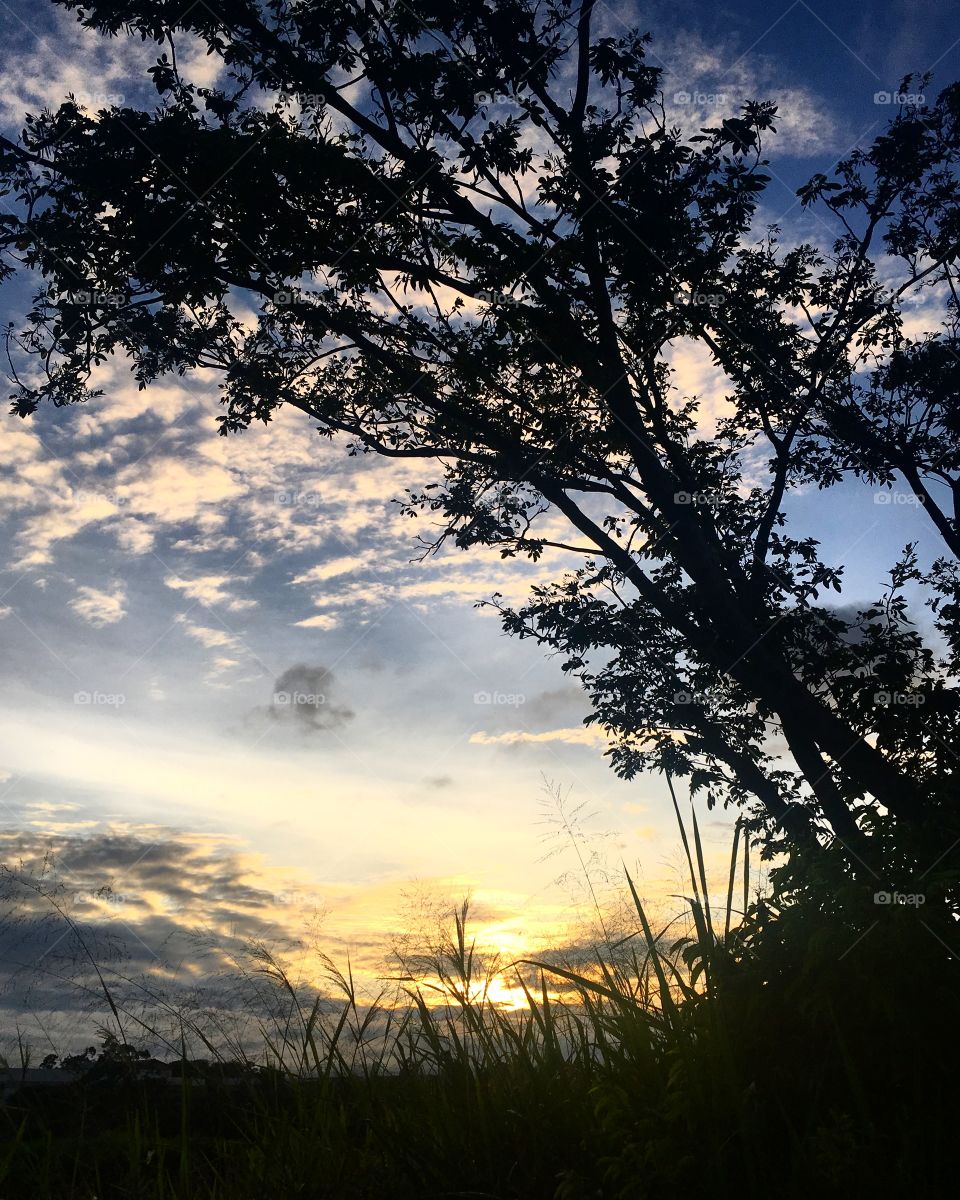 🌅Desperte, #Jundiaí!
Ótima #QuintaFeira a todos.
🍃
#sol #sun #sky #céu #photo #nature #morning #alvorada #natureza #horizonte #fotografia #paisagem #inspiração #amanhecer #mobgraphy #mobgrafia #FotografeiEmJundiaí