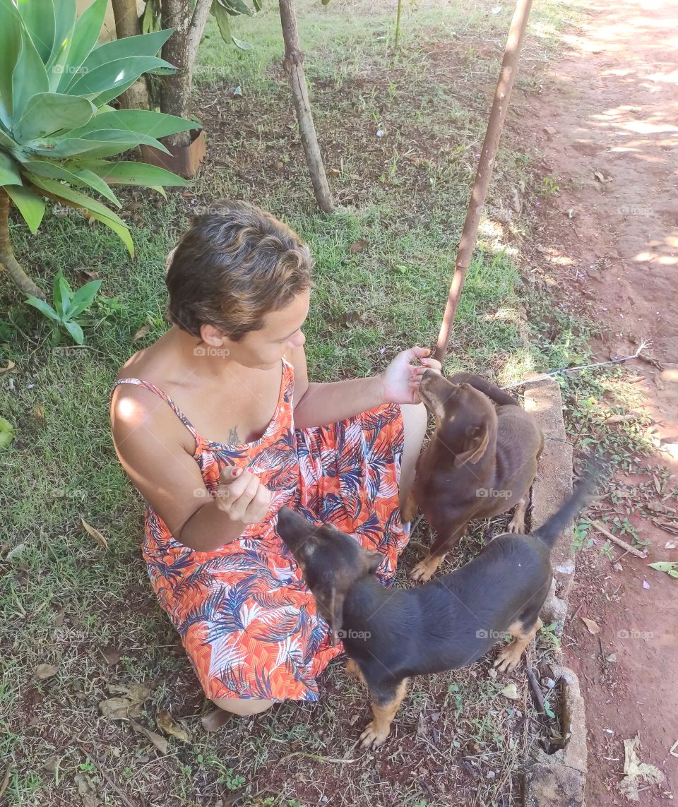 Girl and Dogs