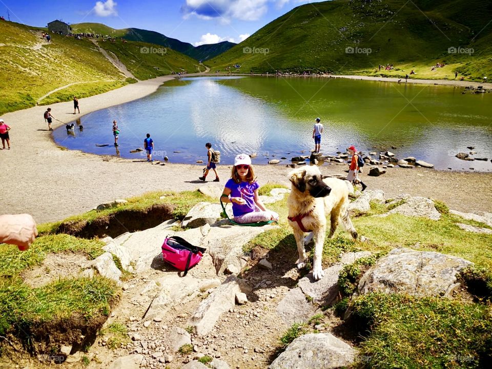 dog at mountain lake