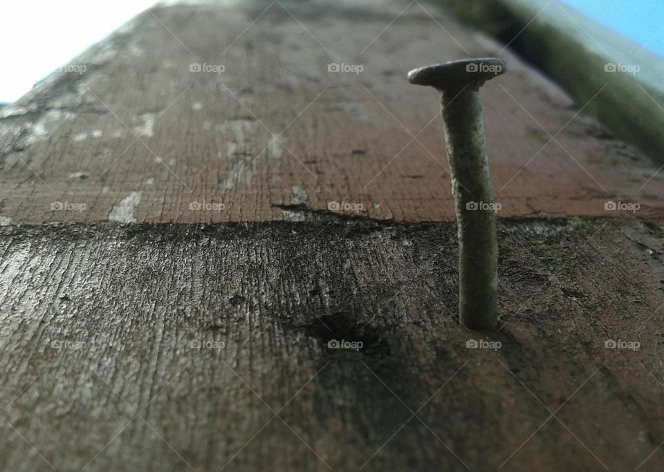 a nail in an old rotting board at a close fun angle.