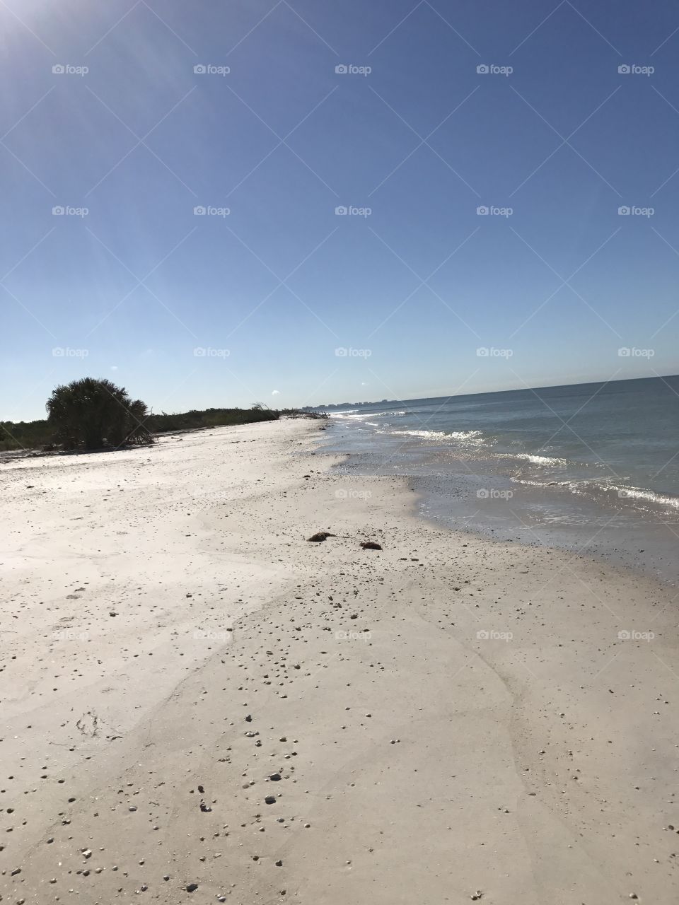 Honeymoon Island  Morning 