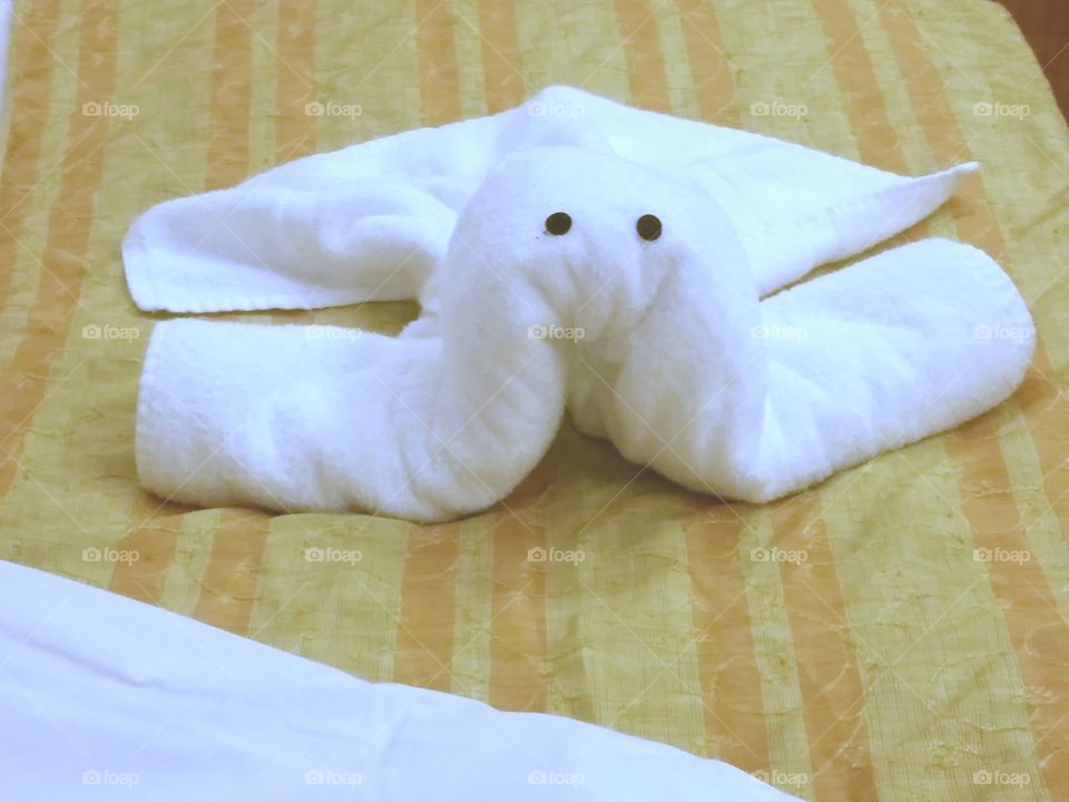 Carnival Cruise - Towel Critters