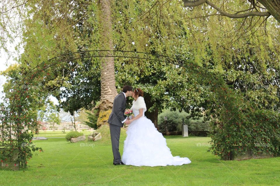 Wedding, Tree, Park, Bride, Landscape