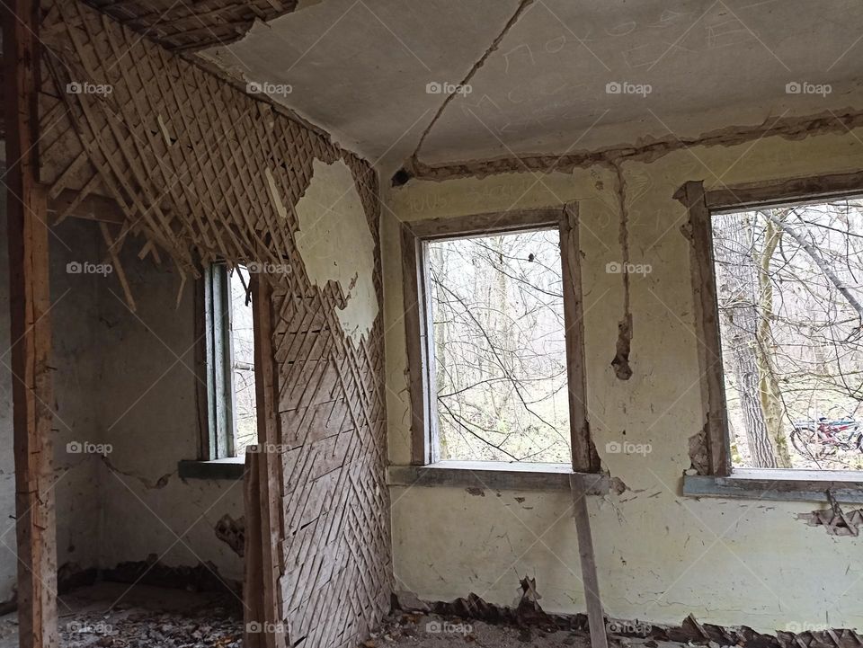 Ruins of a house in the forest