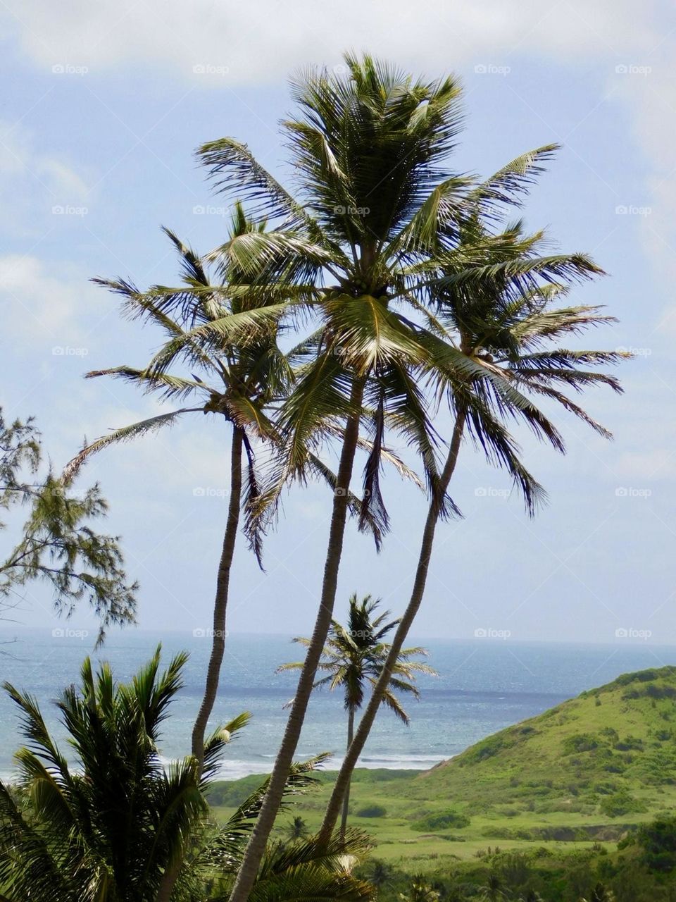 Barbados coastline 