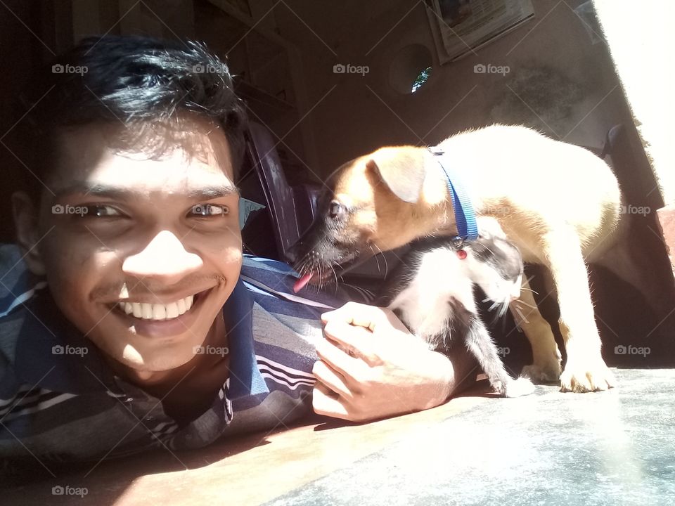 holiday with my pets