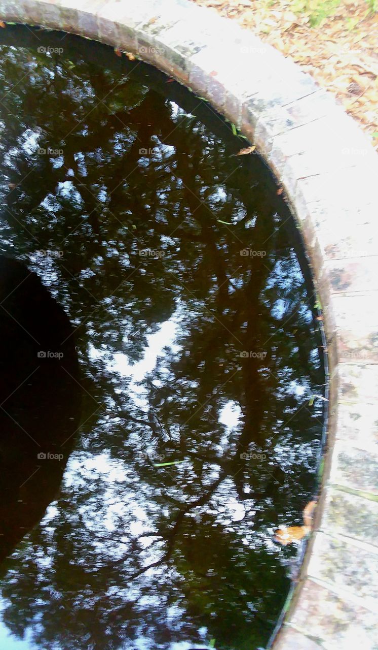 trees and fountain reflecting in the water