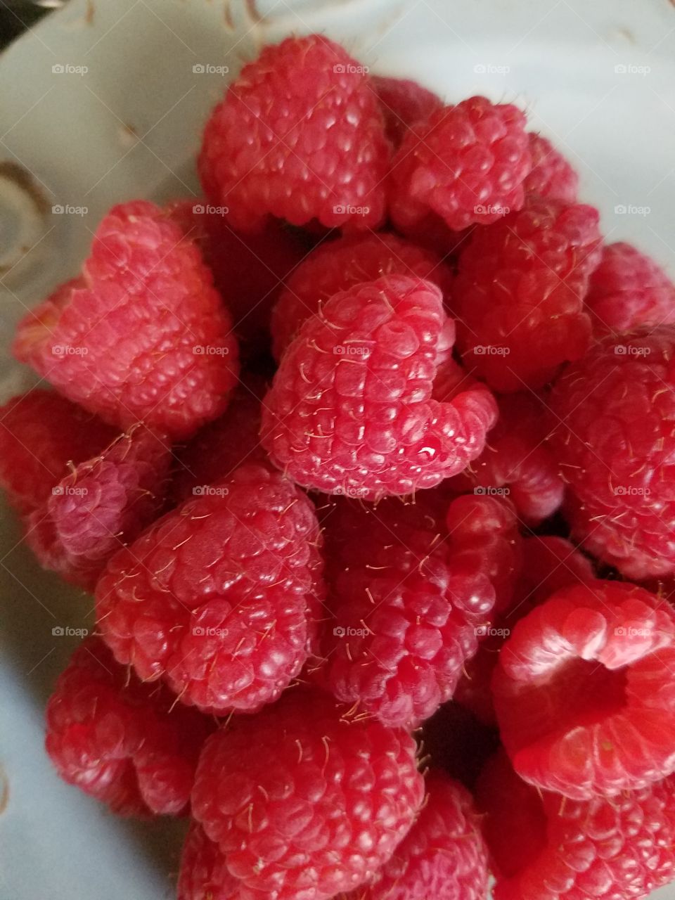 raspberry, red, fresh, healthy, close-up