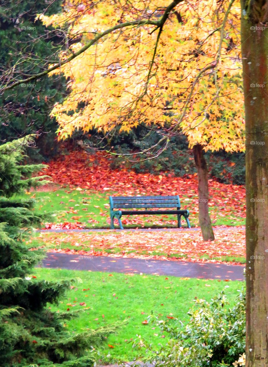 in the park