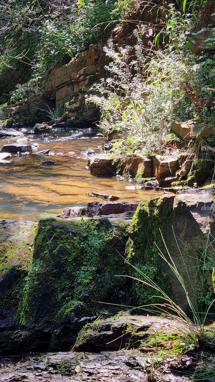 sunny day next to a water stream