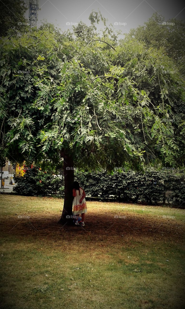 under the tree