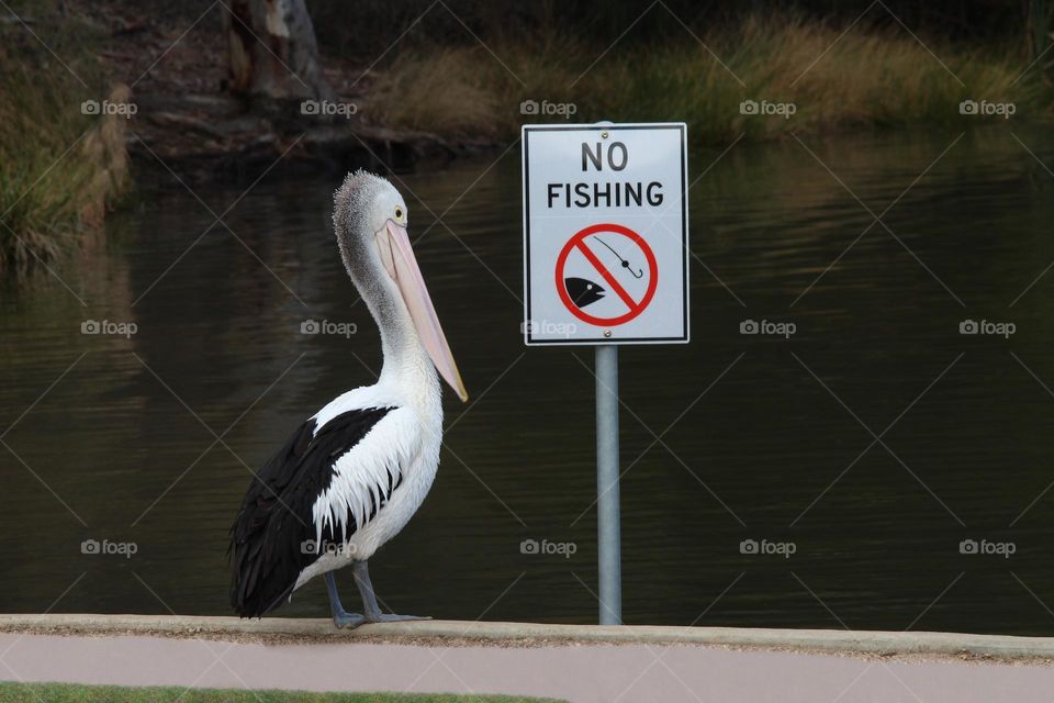 no fishing