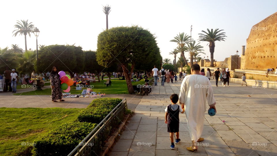 Camel of Moroccan cities in Rabat in front of Hassan Mosque in rabat