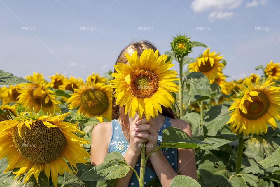 Sunflower girl in summer