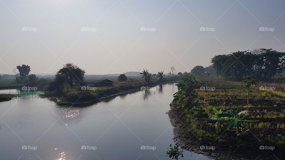 the morning river