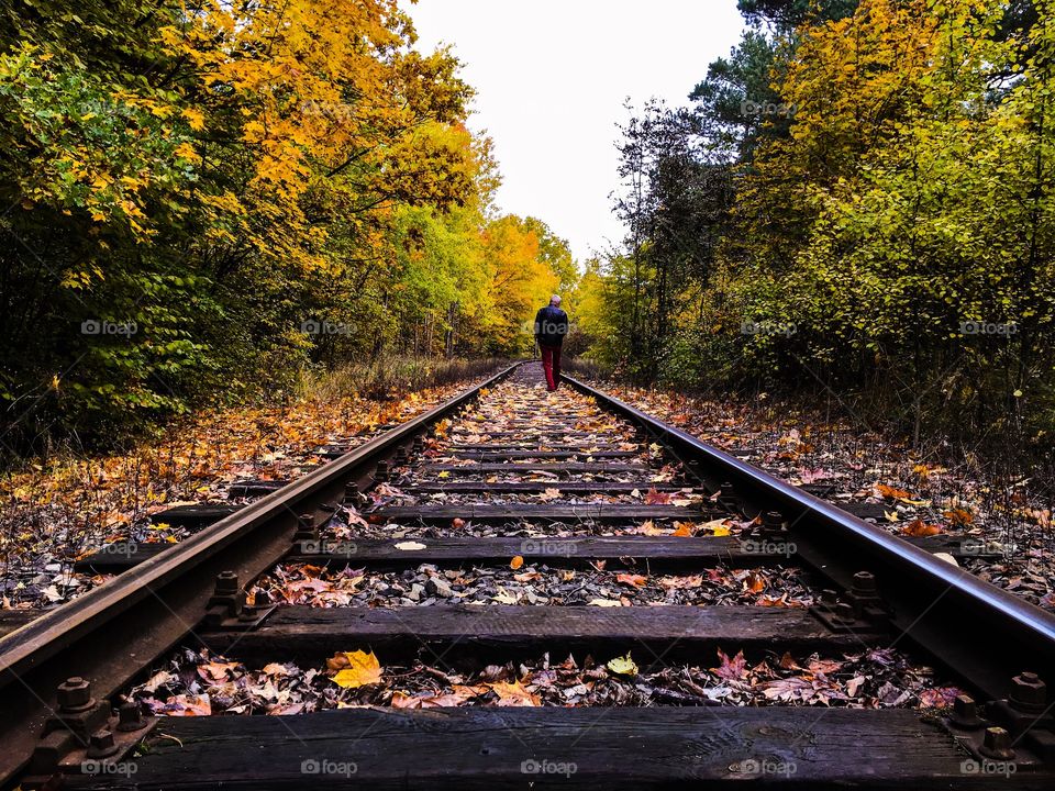 Fall, Railway, Locomotive, Guidance, Tree