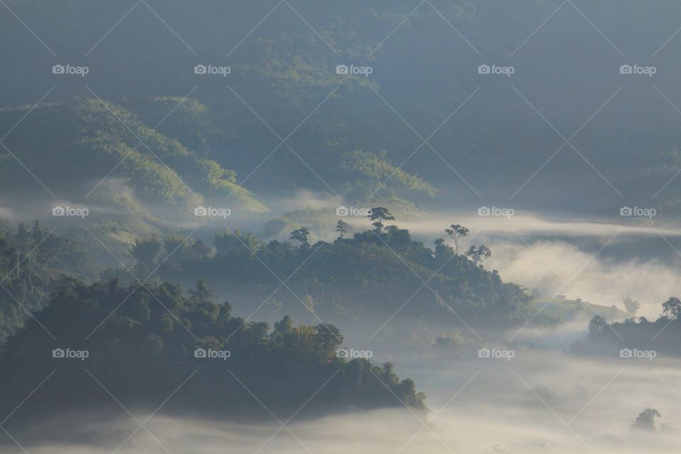 Mountain nature fog