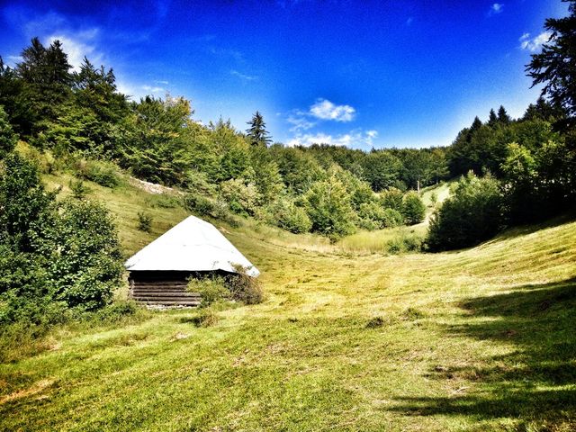 cabine