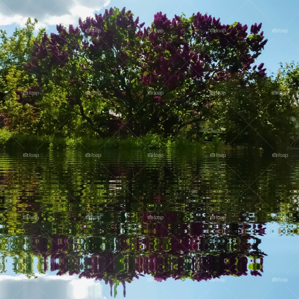 reflections